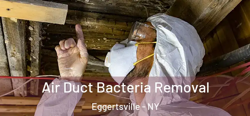 Air Duct Bacteria Removal Eggertsville - NY