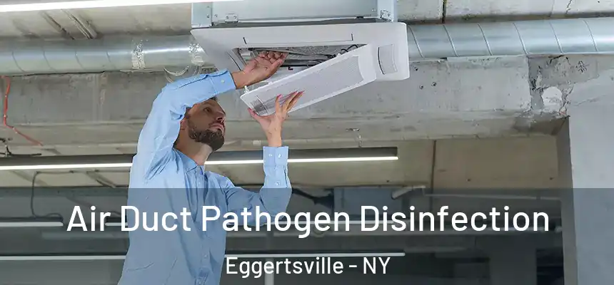 Air Duct Pathogen Disinfection Eggertsville - NY