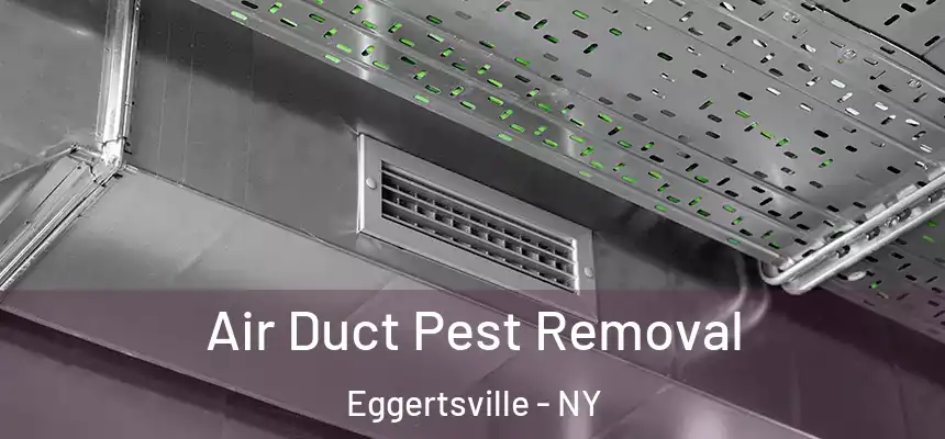 Air Duct Pest Removal Eggertsville - NY