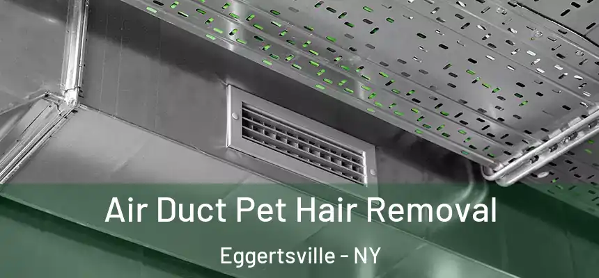  Air Duct Pet Hair Removal Eggertsville - NY