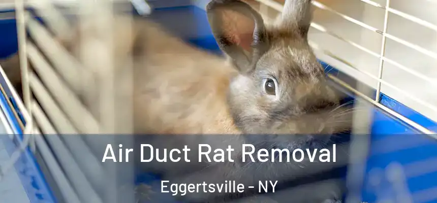 Air Duct Rat Removal Eggertsville - NY