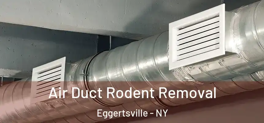 Air Duct Rodent Removal Eggertsville - NY