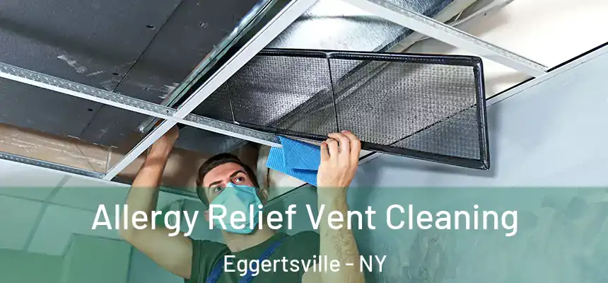  Allergy Relief Vent Cleaning Eggertsville - NY