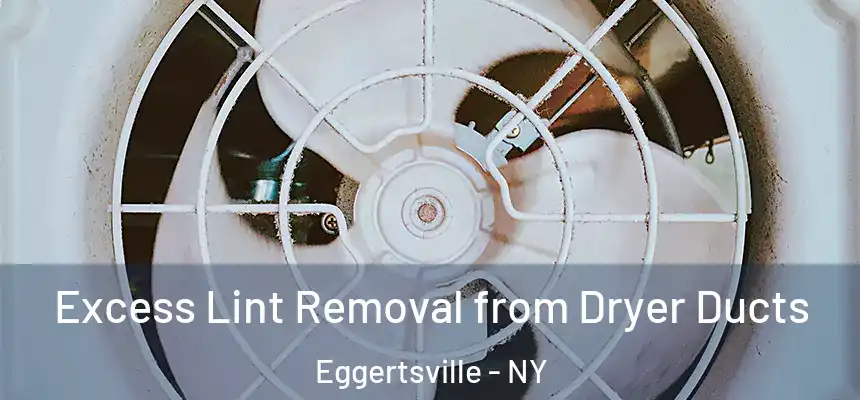  Excess Lint Removal from Dryer Ducts Eggertsville - NY