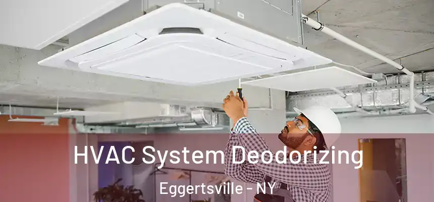HVAC System Deodorizing Eggertsville - NY