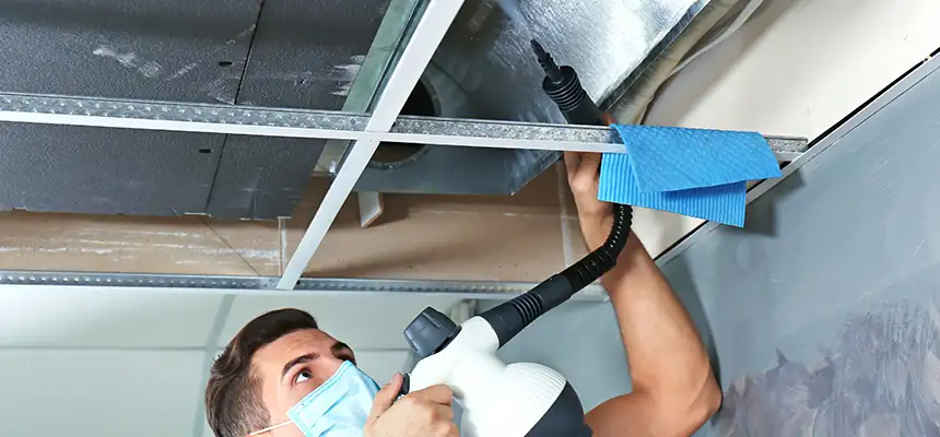 Our Air Duct Rodent Removal Services in Eggertsville, NY