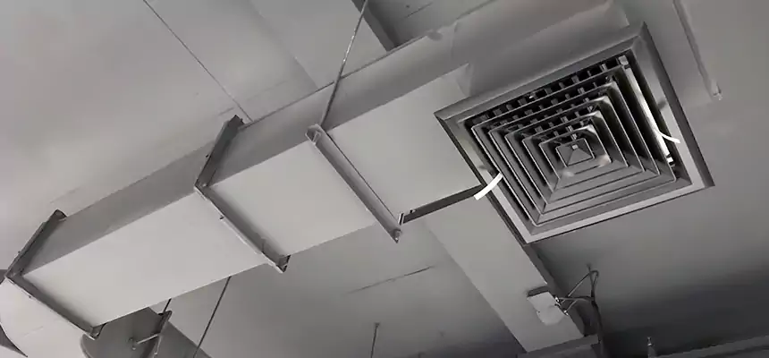 Restorative Allergy Relief Vent Cleaning – Coil, Blower & Housing Detail in Eggertsville