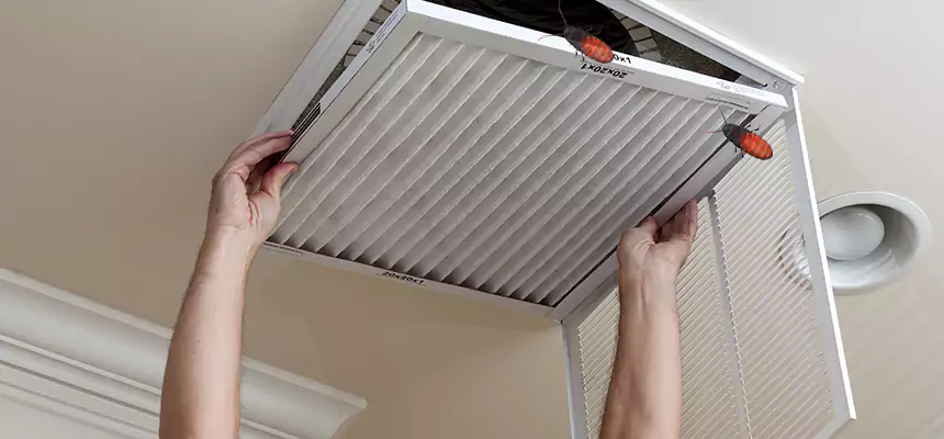 Our Insect Removal from Air Ducts Services in Eggertsville, NY