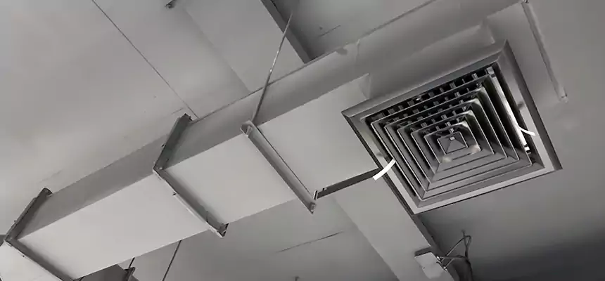 Our Rodent Droppings In Vents Services in Eggertsville, NY