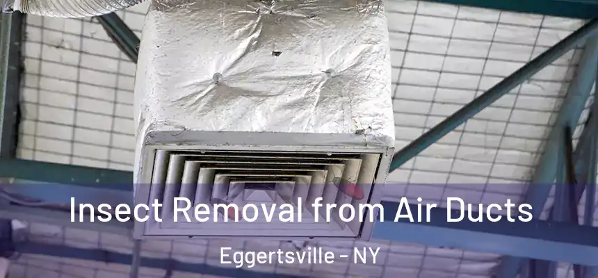 Insect Removal from Air Ducts Eggertsville - NY