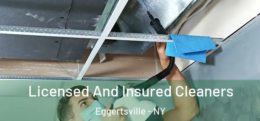  Licensed And Insured Cleaners Eggertsville - NY