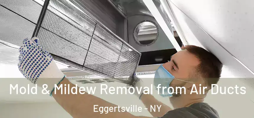  Mold & Mildew Removal from Air Ducts Eggertsville - NY