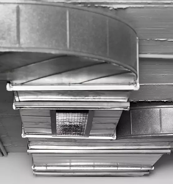 Professional Air Duct Pet Hair Removal in Eggertsville, NY