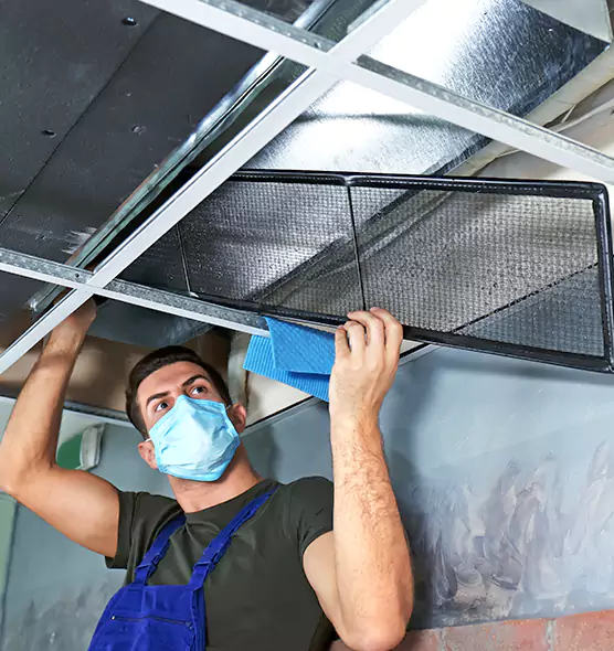 Professional Air Duct Pollen Cleaning in Eggertsville, NY