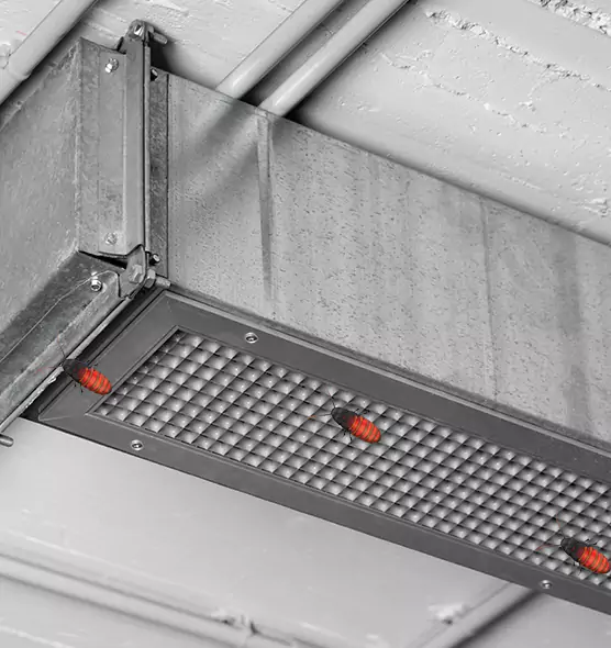 Affordable Insect Removal from Air Ducts in Eggertsville, NY