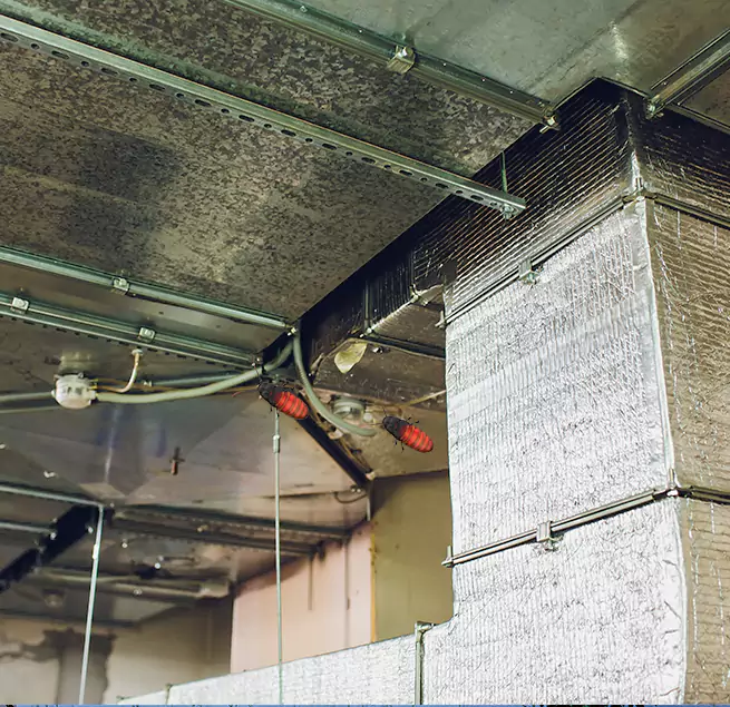 Why Homeowners & Businesses Trust Us in Eggertsville, NY?