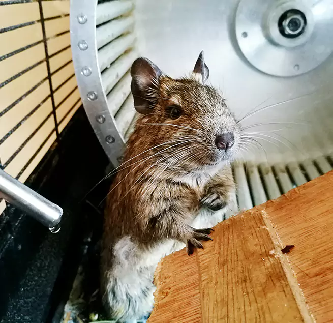 Why Homeowners & Businesses Trust Us Eggertsville, NY