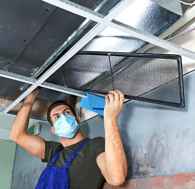 Why Homeowners Businesses Trust Us in Eggertsville, NY