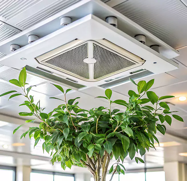 Why Homeowners & Businesses Trust Us in Eggertsville, NY?