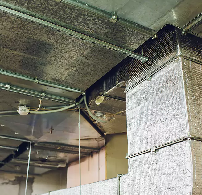 Why Homeowners & Businesses Trust Us in Eggertsville, NY?